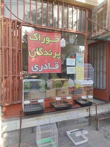 عکس دان فروشی قادری