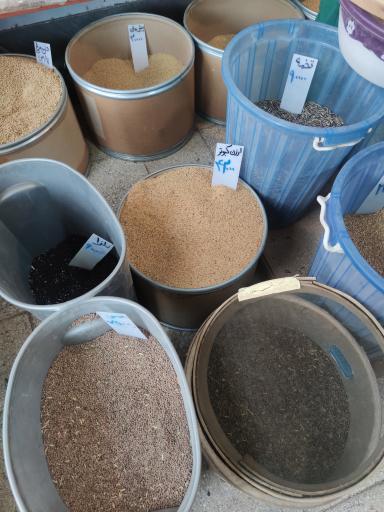 دان فروشی قادری