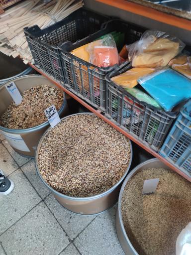 دان فروشی قادری