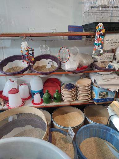 عکس دان فروشی قادری