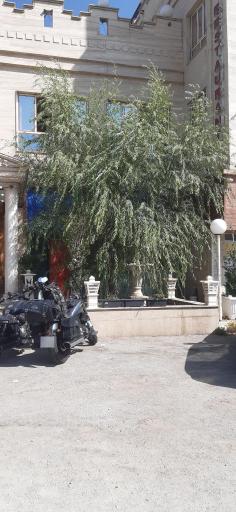 عکس رستوران امین