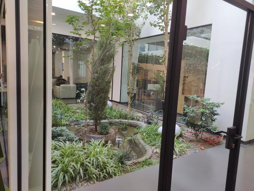 عکس موسسه سینوا