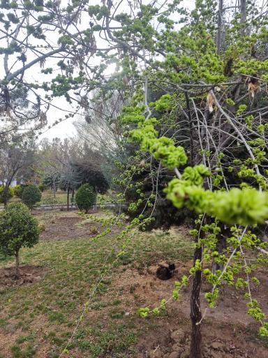 عکس بوستان فراز