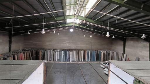 عکس پخش فرش و موکت جزایری