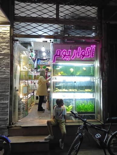 آکواریوم بلیز