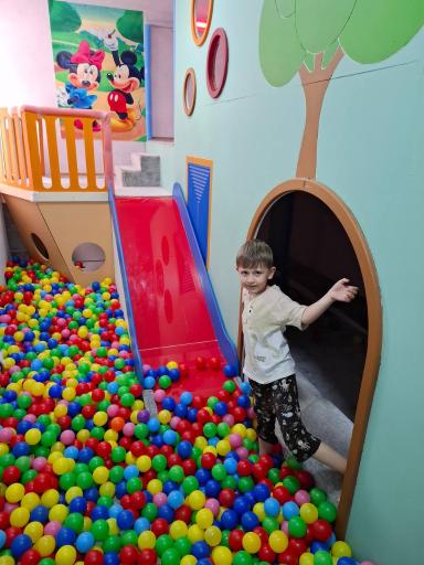 عکس خانه بازی و مشاغل گلدونه ها