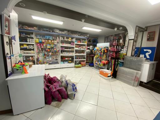 عکس کلینیک دامپزشکی رایا