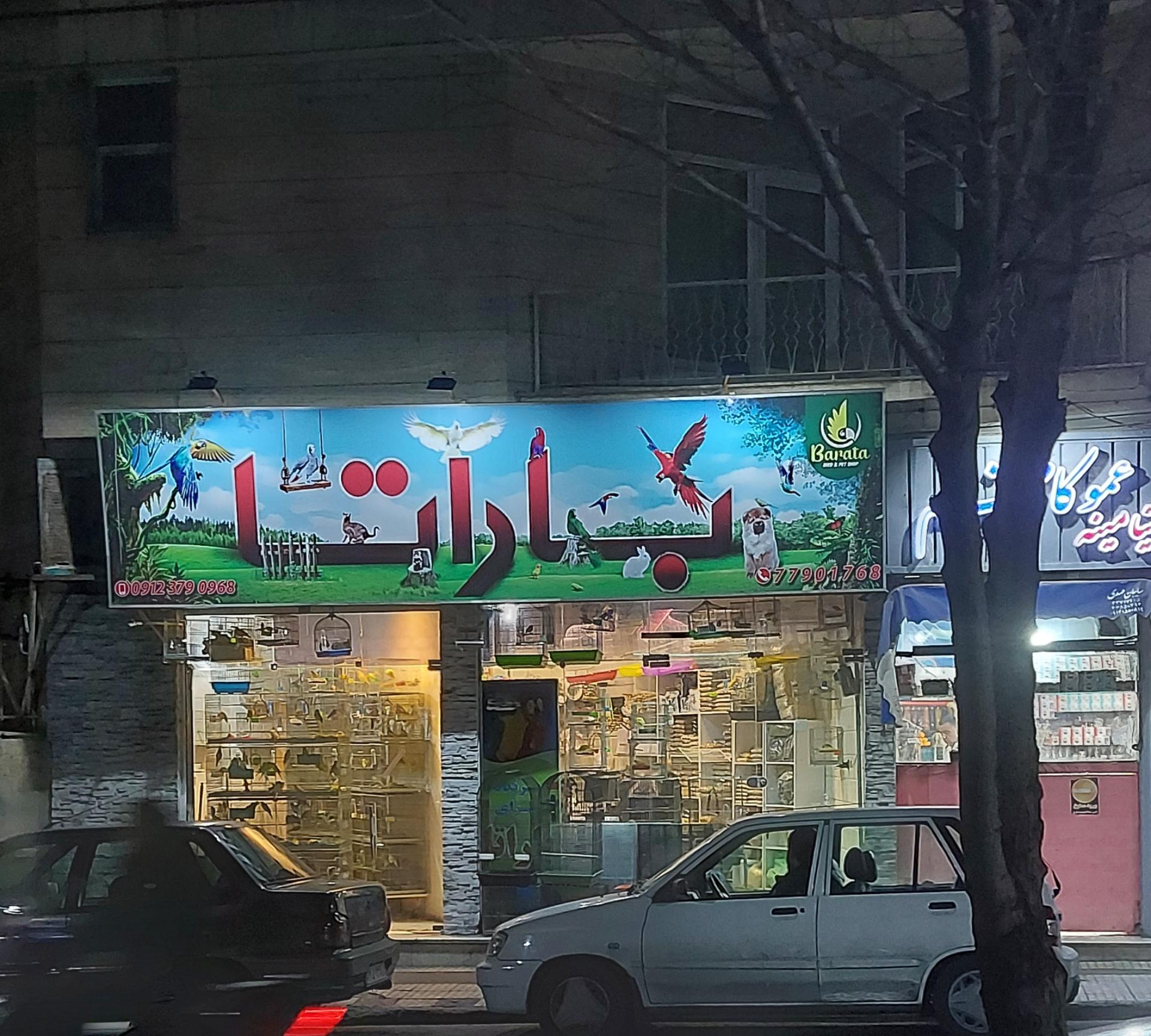 عکس پرنده فروشی باراتا 