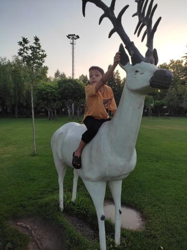 عکس مجتمع خدمات رفاهی دشت بهشت سپاه کرج