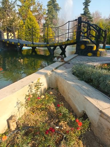 عکس مجتمع خدمات رفاهی دشت بهشت سپاه کرج