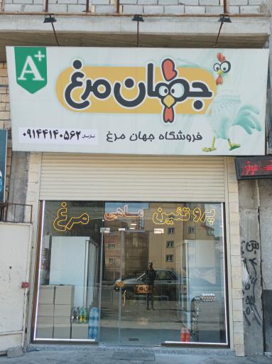 عکس جهان مرغ سپهر