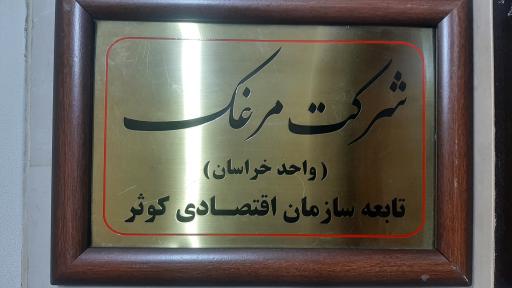 عکس شرکت مرغک دفتر واحد خراسان