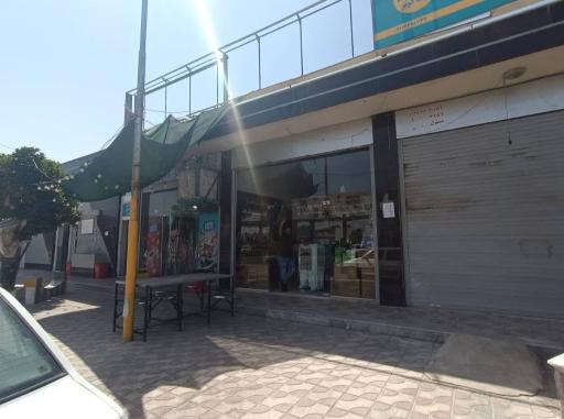 عکس یدک گستر تخت جمشید 