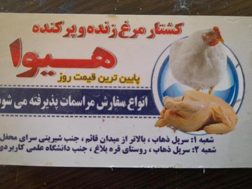 عکس مرغ فروشی هیوا