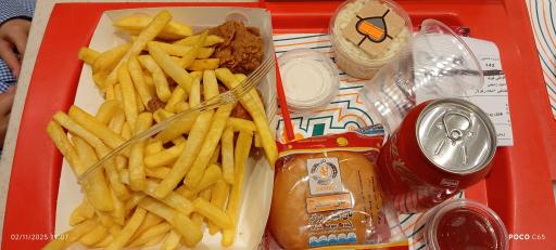 فست فود دلفین