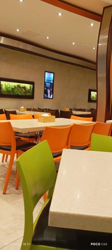 عکس فست فود دلفین