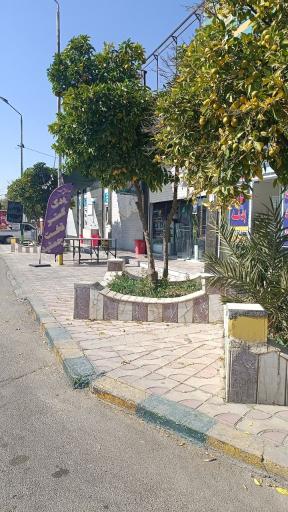عکس یدک گستر تخت جمشید 