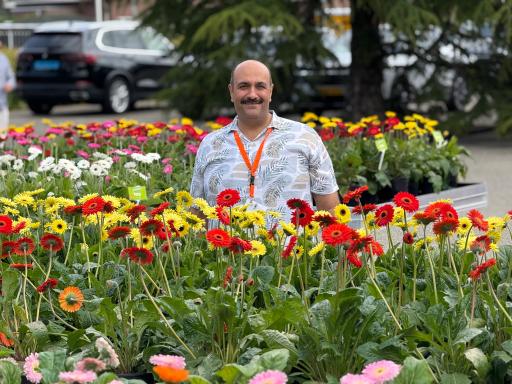 عکس گل سمنگانی