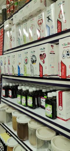 عکس گیاهان دارویی بید مجنون 