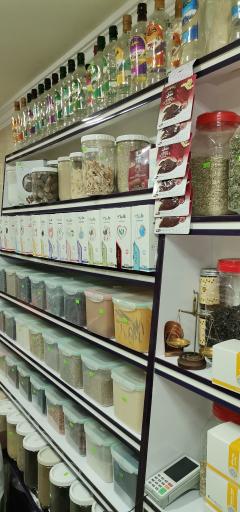 عکس گیاهان دارویی بید مجنون 