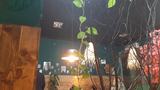 عکس کافه شلبی