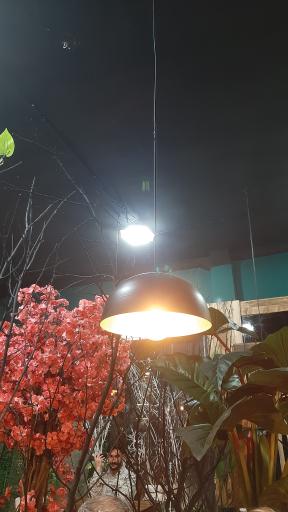 عکس کافه شلبی