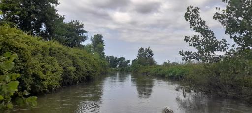 عکس هتل بهشت تالاب بندر انزلی