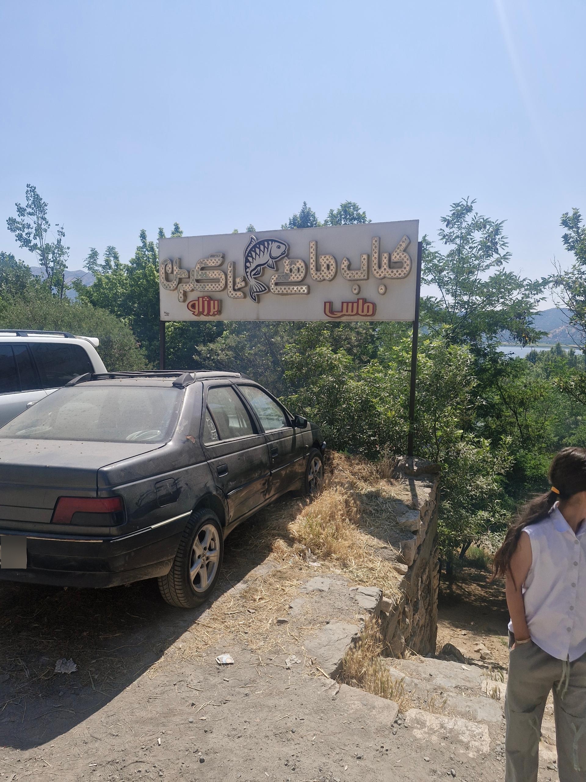 عکس کباب ماهی