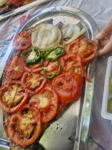 عکس کباب ماهی