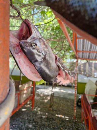 عکس کباب ماهی