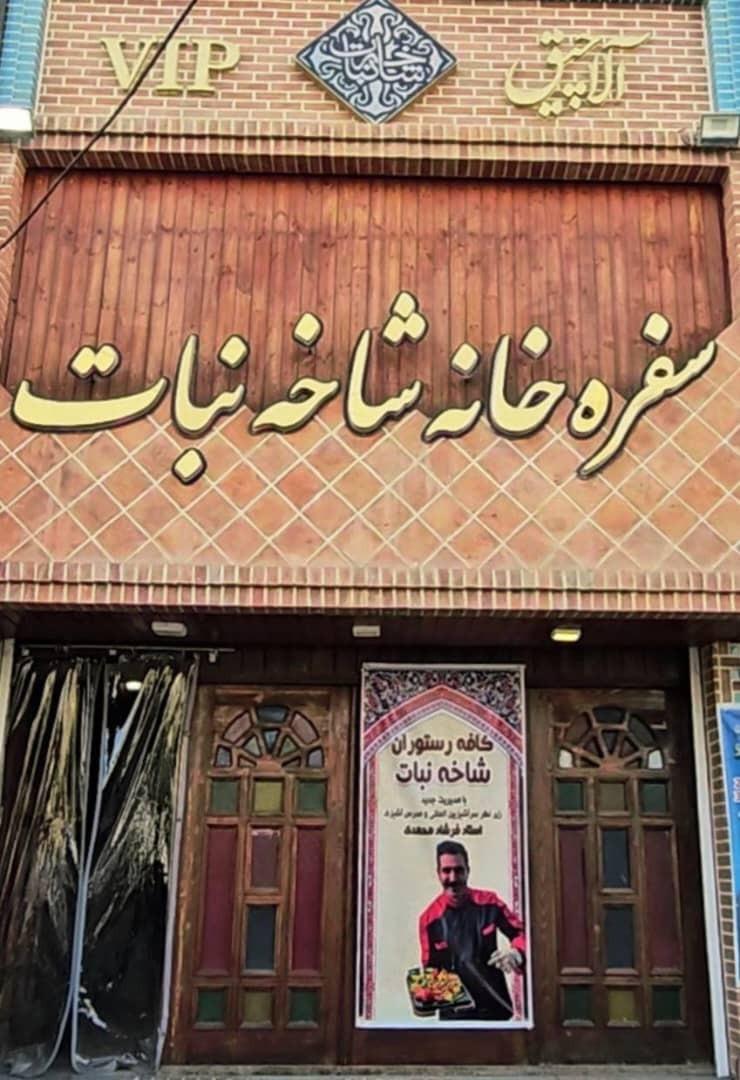 عکس سفره خانه شاخه نبات