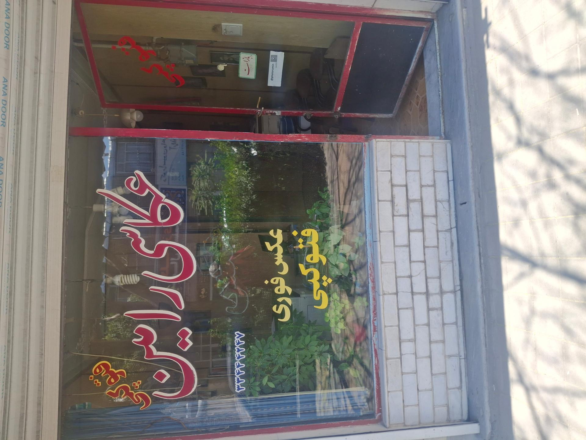 عکس عکاسی رامین