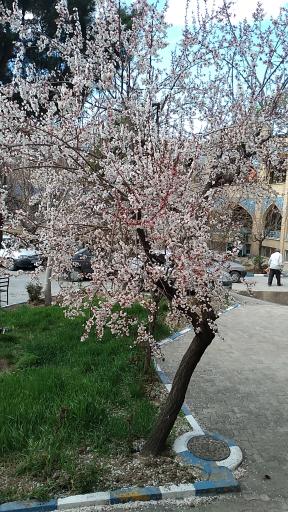 عکس حوزه علمیه زنگنه