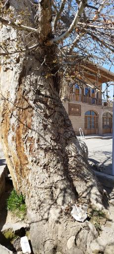 عکس عمارت آقایان - اداره میراث فرهنگی، گردشگری و صنایع دستی