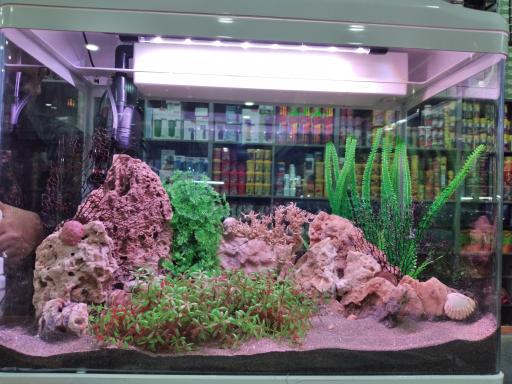 عکس فروشگاه آکواریوم دهکده ماهی