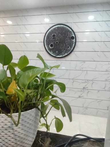 عکس کافه لونا