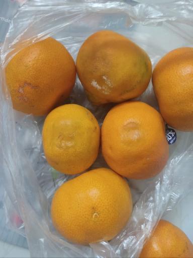 عکس هایپر میوه مهدی