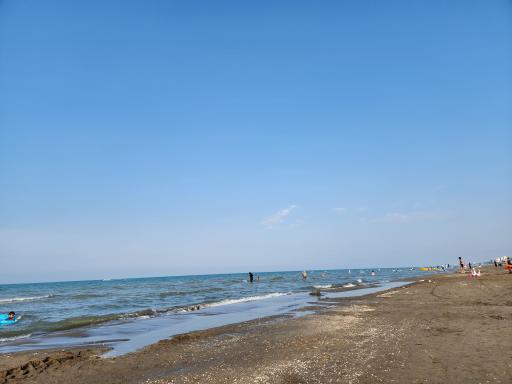 عکس ساحل نشتارود