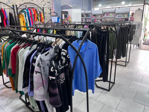 عکس اچ زد كالكشن