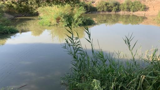 عکس برکه دوستی