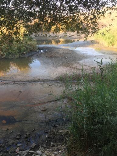 عکس برکه دوستی