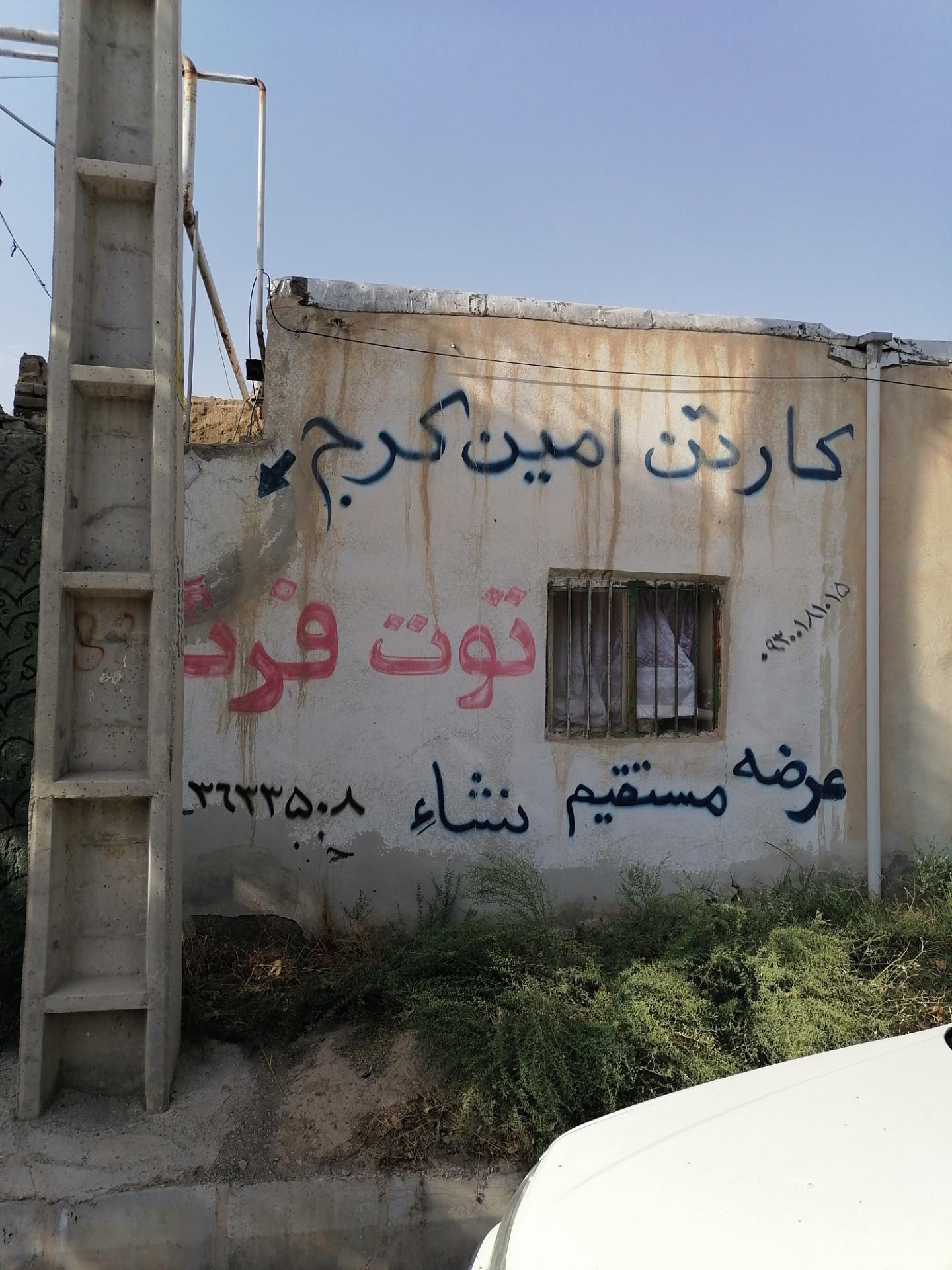 عکس کارتن امین کرج