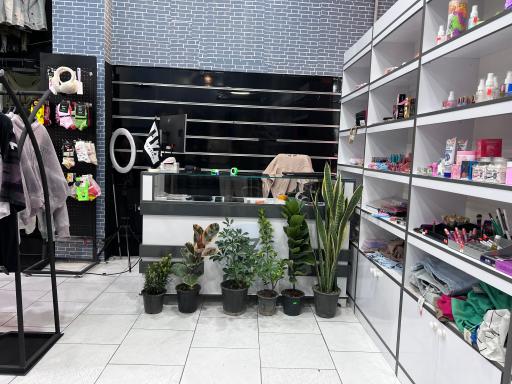 عکس فروشگاه اچ زد كالكشن