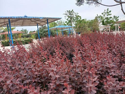 عکس بوستان مسافر