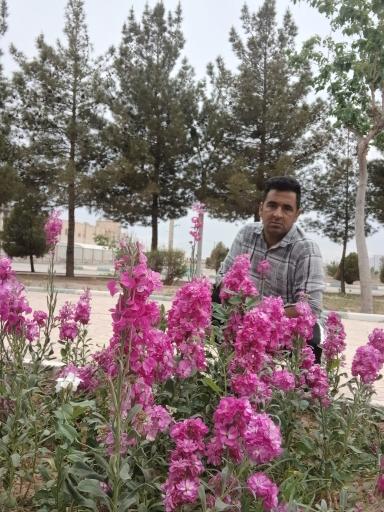 عکس بوستان مسافر