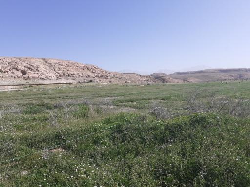 عکس کرمان