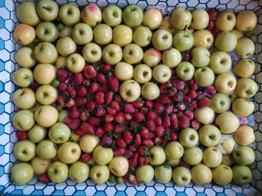 عکس موسسه خیریه پایان کارتن خوابی