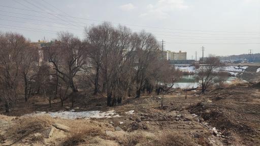 عکس برکه دوستی