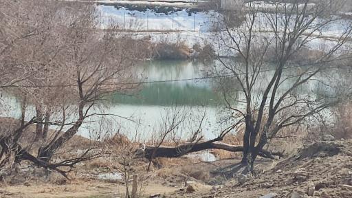 عکس برکه دوستی