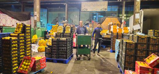 عکس حق العمل کاری برادران طاهری